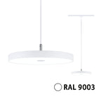 Paulmann URail LED Pendel Hildor 3-Step-Dim   850lm 15W 4000K dimmbar 230V Signalweiß
