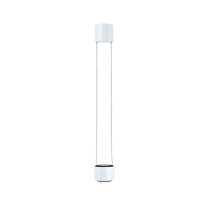 Paulmann URail LED Pendel Aldan 850lm / 460lm 8,5W 3000K dimmbar 230V Signalweiß