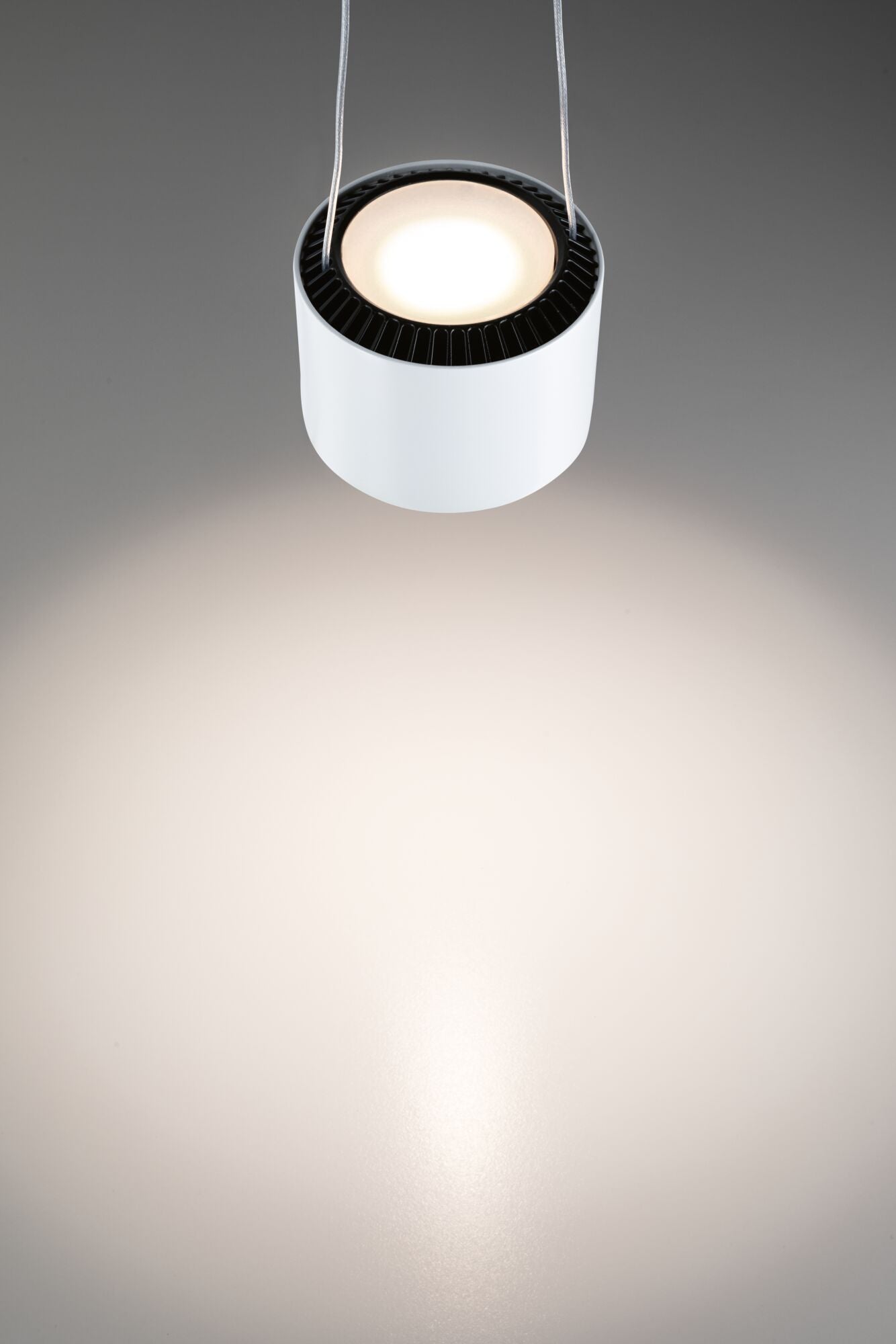 Paulmann URail LED Pendel Aldan 850lm / 460lm 8,5W 3000K dimmbar 230V Signalweiß