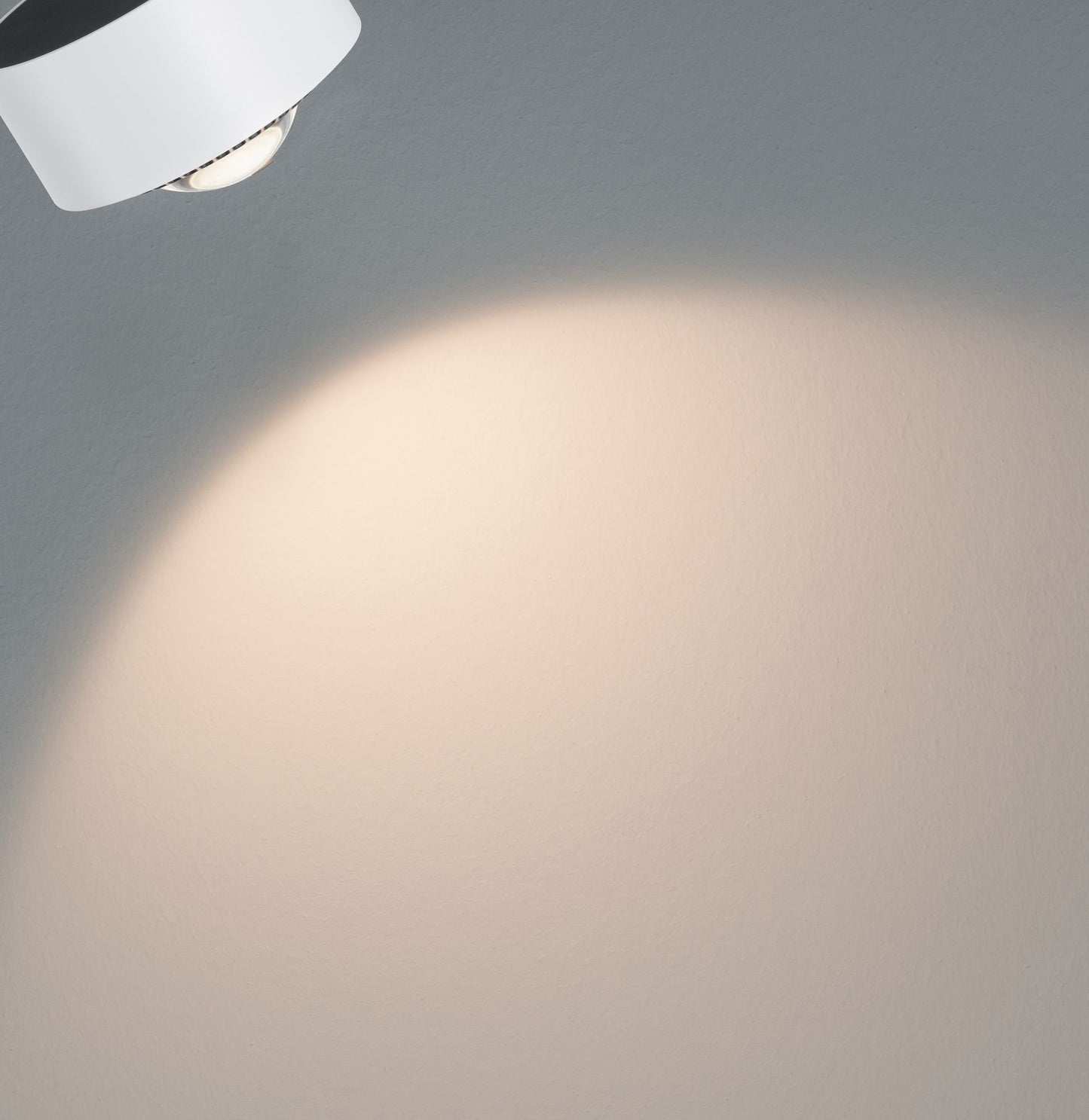 Paulmann URail LED Spot Aldan II 1x8W Weiß#Schwarz 2.700K dimmbar