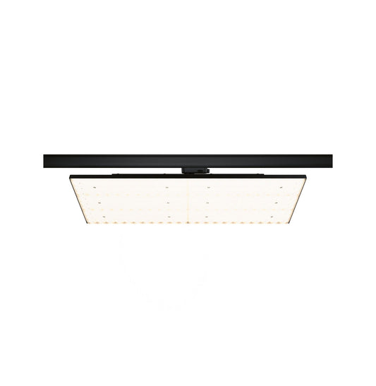 Paulmann ProRail3 LED Panel Deck 6600lm 75W 3000K  230V Schwarz