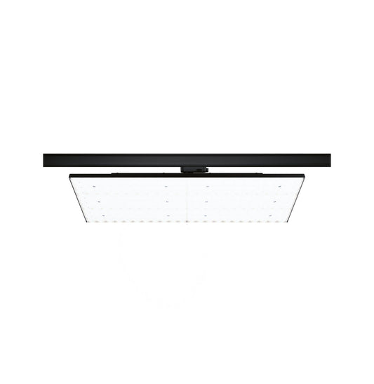 Paulmann ProRail3 LED Panel Deck 7000lm 75W 4000K  230V Schwarz