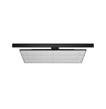 Paulmann ProRail3 LED Panel Deck 7000lm 75W 4000K  230V Schwarz