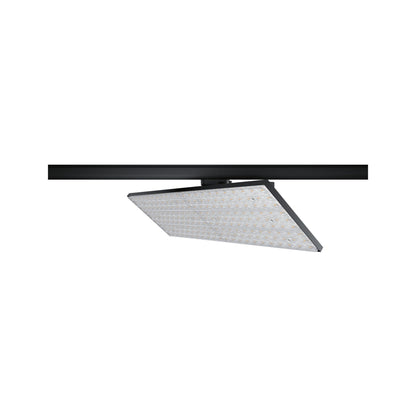Paulmann ProRail3 LED Panel Deck 7000lm 75W 4000K  230V Schwarz