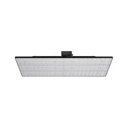 Paulmann ProRail3 LED Panel Deck 7000lm 75W 4000K  230V Schwarz