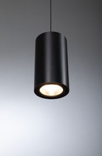 Paulmann ProRail3 Pendel Kratos 2000lm 18,5W 3000K  230V Schwarz