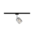 Paulmann URail Spot Blossom max 1x10W G9 Schwarz matt/Rauchglas 230V Metall/Glas