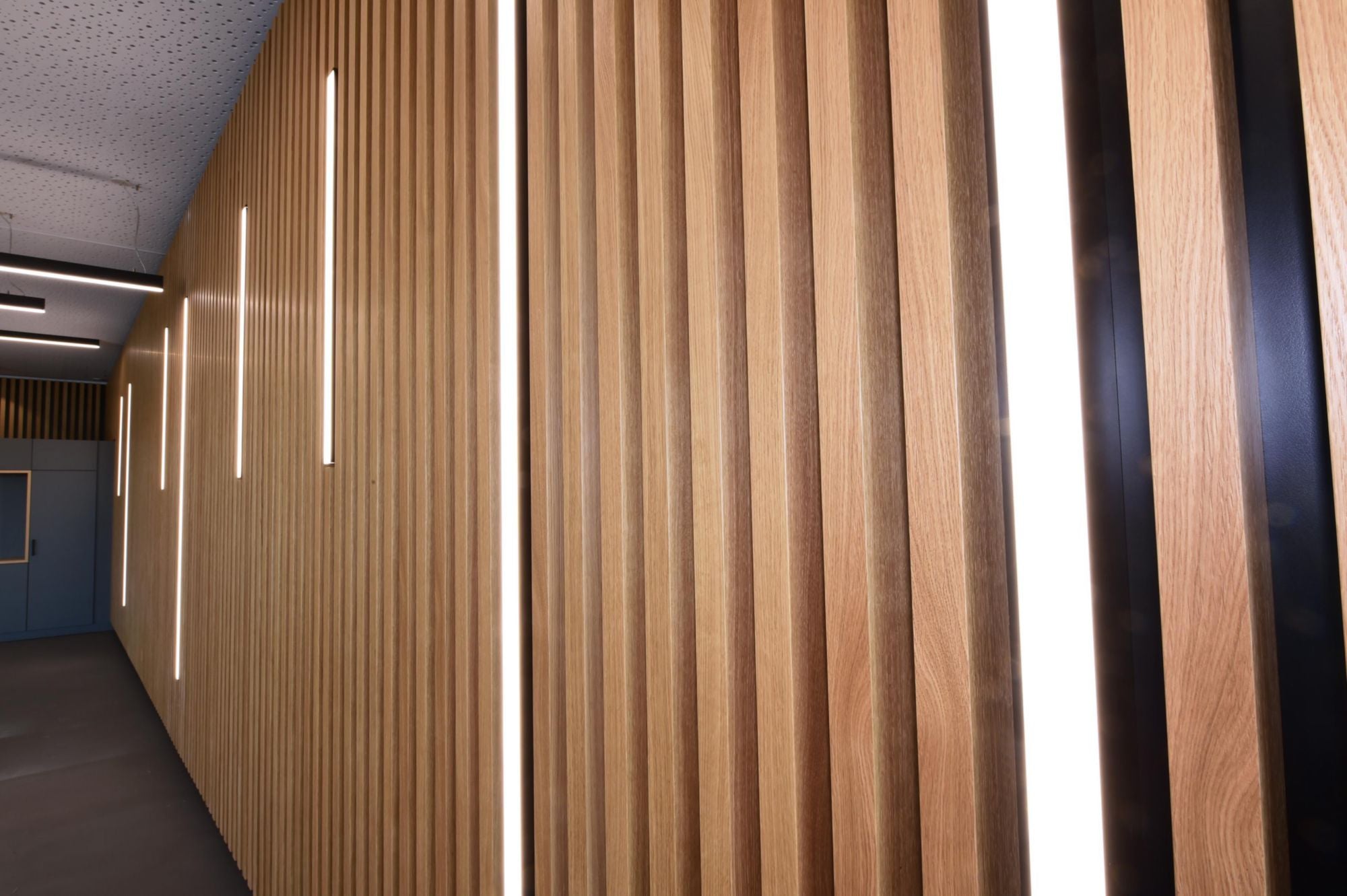 Deko-Light PLANO BSH für Wandmontage, 85 x 38mm, schwarz mit LED-Träger, 2m