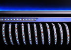 Deko-Light 5050-60-24V-RGB+3000K-50m 650W Weiß