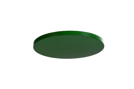 Deko-Light Abdeckung Blatt Grün für Deckenaufbauleuchte Zaniah 290  Blatt Grün