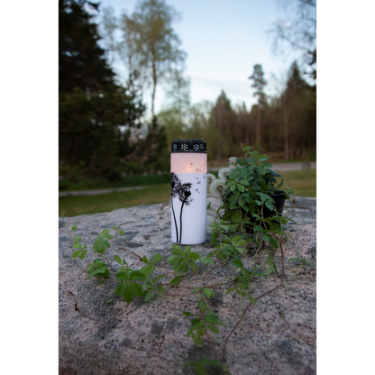 LED-Grablicht ''Dandelion'', weiß mit Pusteblumenmotiv, warmweiß, 21x7cm, outdoor