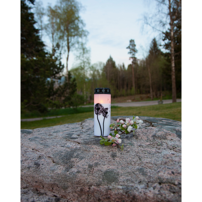 LED-Grablicht ''Dandelion'', weiß mit Pusteblumenmotiv, warmweiß, 21x7cm, outdoor