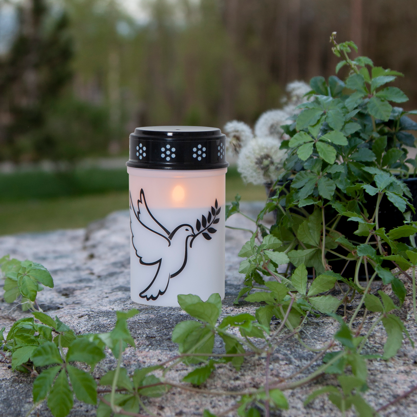 LED-Grablicht ''Dove'', weiß mit Taubenmotiv, warmweiß, 12,5x7,5cm, outdoor