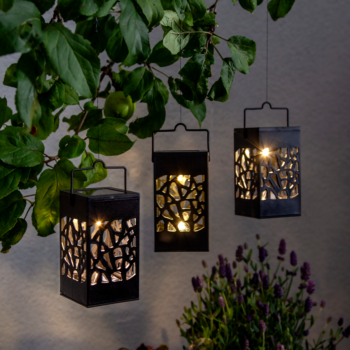 LED-Solar-Laterne ''Izola'', 3er-Set, schwarz, warmweiß, 6x11cm, Akku, outdoor