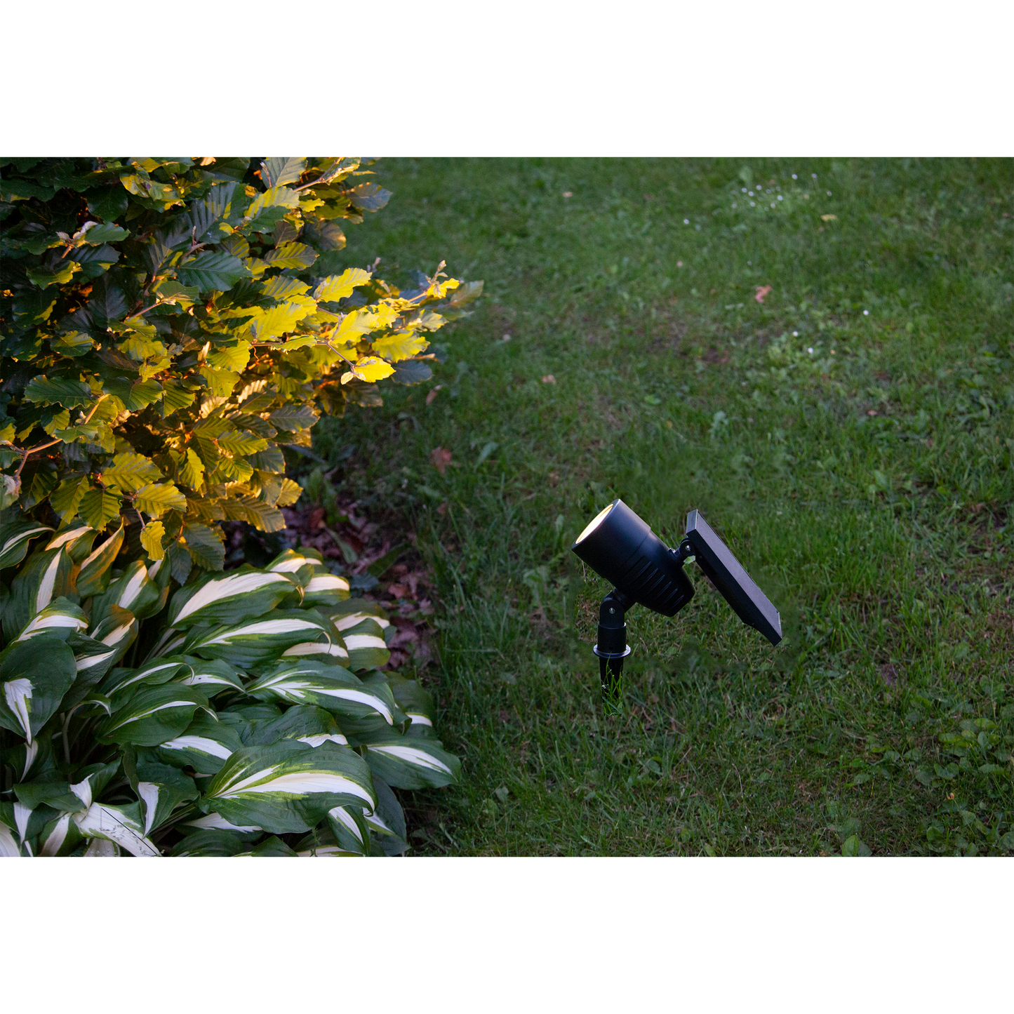 LED-Solar-Spotlight ''Powerspot'', schwarz, 9,5x21cm, Akku, outdoor, mit Erdspieß