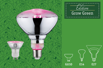 Paulmann Grow Green Edition Filament 230V LED Reflektor 95lm 3,5W 1100K  Wachstumslicht