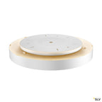 SLV MEDO 60 CW, CORONA, LED Indoor Wand- und Deckenaufbauleuchte, DALI, weiß, 3000/4000K