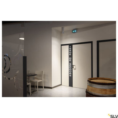 SLV NUMINOS® DALI XL, Deckenaufbauleuchte weiß / schwarz 36W 3000K 36°