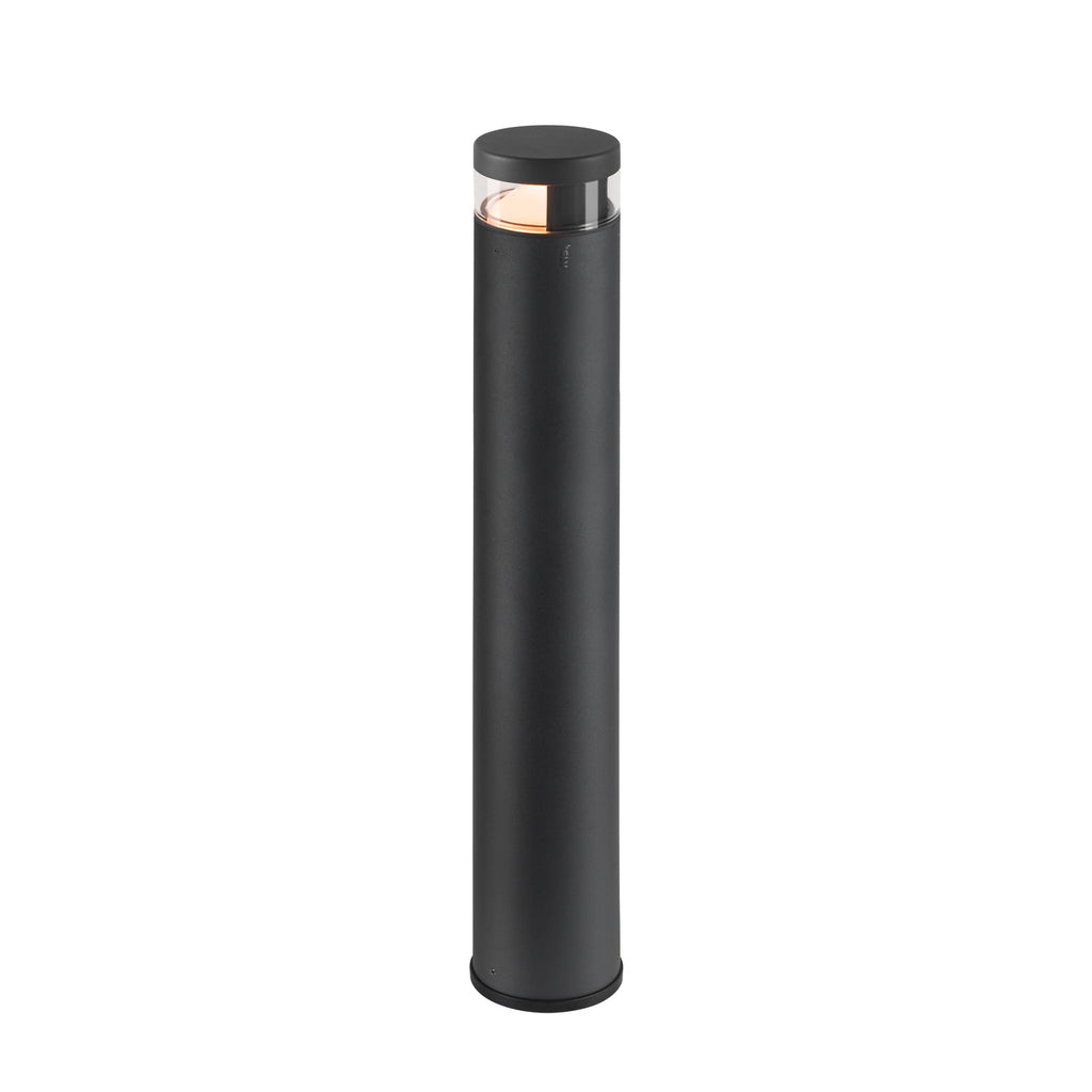 M-POL S Polehead 180°, entblendet, Leuchtenkopf, anthrazit, 10 W, 700 lm, 2700 K, CRI 80, DALI