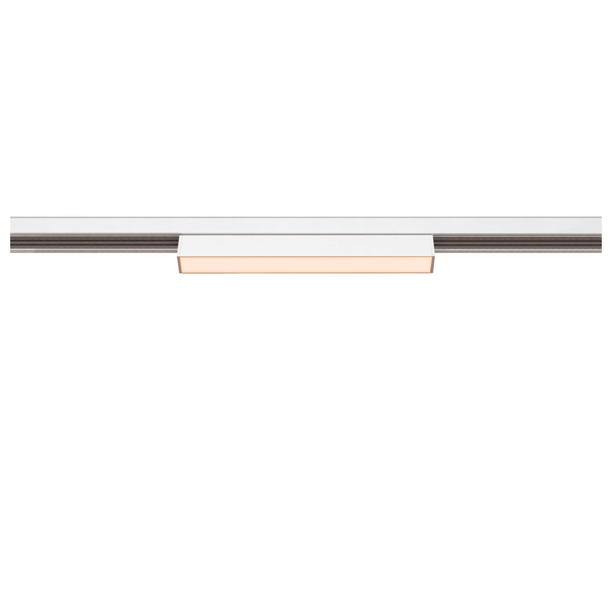 IN-LINE 22 48V TRAC K, opal, DALI, Spot, weiß 7.3 W, 540 lm, 2700 K, CRI 90, 95°