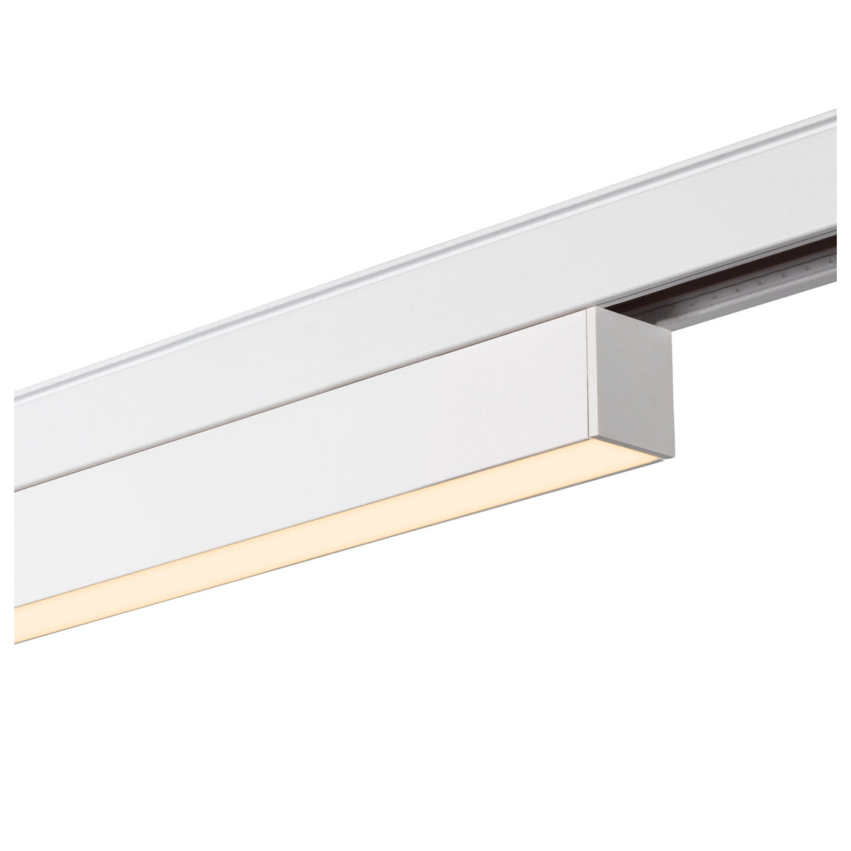 IN-LINE 22 48V TRAC K, opal, DALI, Spot, weiß / weiß, 7.3 W, 570 lm, 3000 K, CRI 90, 95°