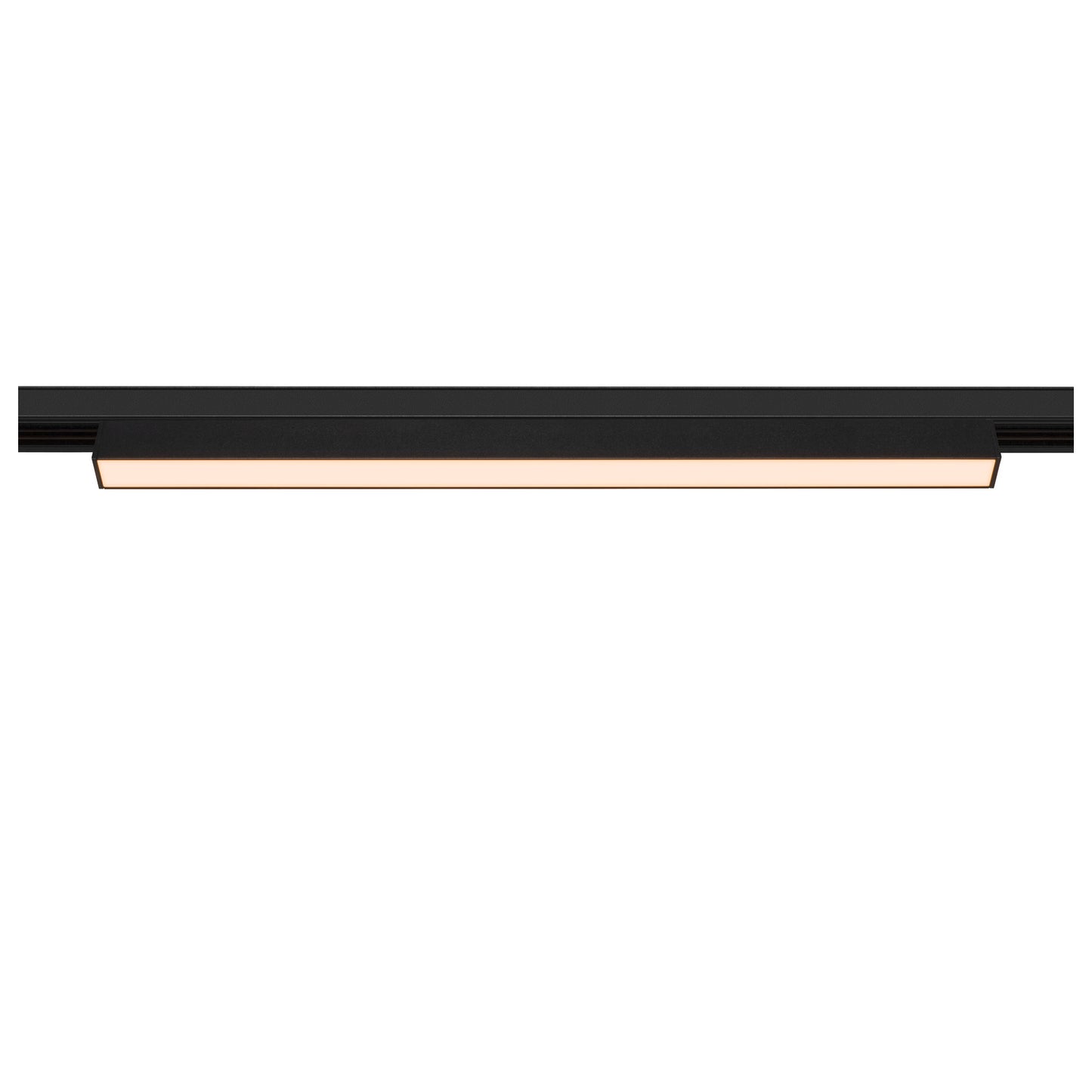 IN-LINE 44 48V TRAC K, opal, DALI, Spot, schwarz 14 W, 1140 lm, 2700 K, CRI 90, 95°