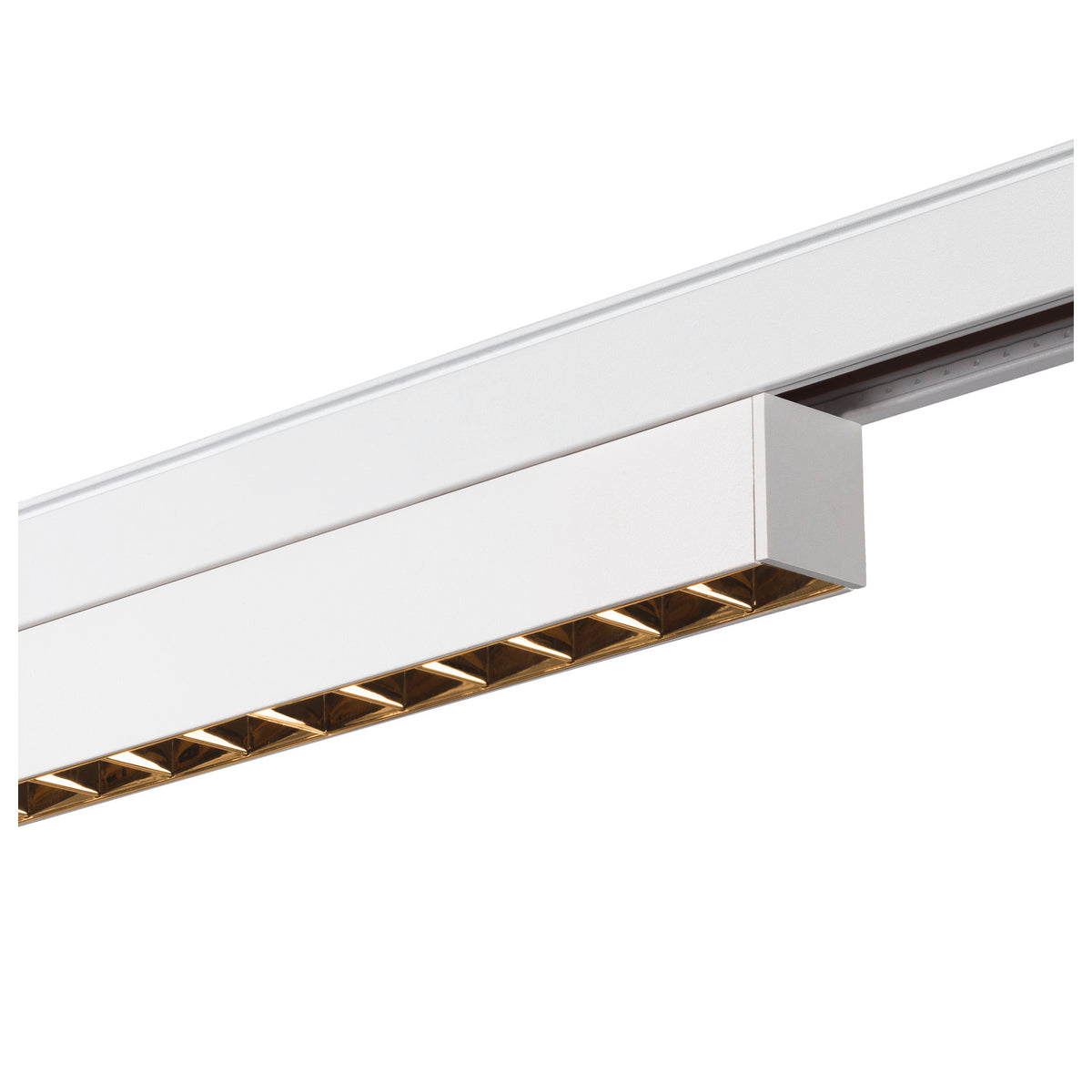IN-LINE 22 48V TRAC K, Darklight Reflector, DALI, Spot, weiß / weiß, 7.3 W, 580 lm, 2700 K, CRI 90, 35°