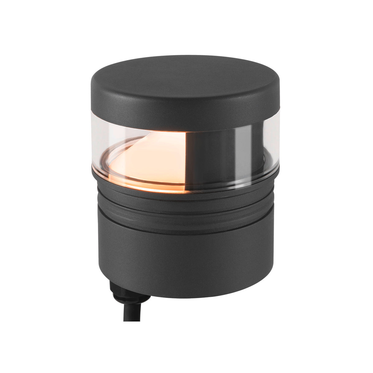 M-POL S Polehead 180°, entblendet, Leuchtenkopf, anthrazit, 10 W, 700 lm, 2700 K, CRI 80, DALI