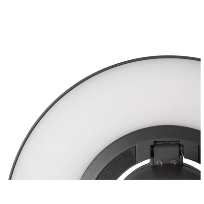 I-RING, Wandaufbauleuchte, 9,2 W, 3000 K, anthrazit