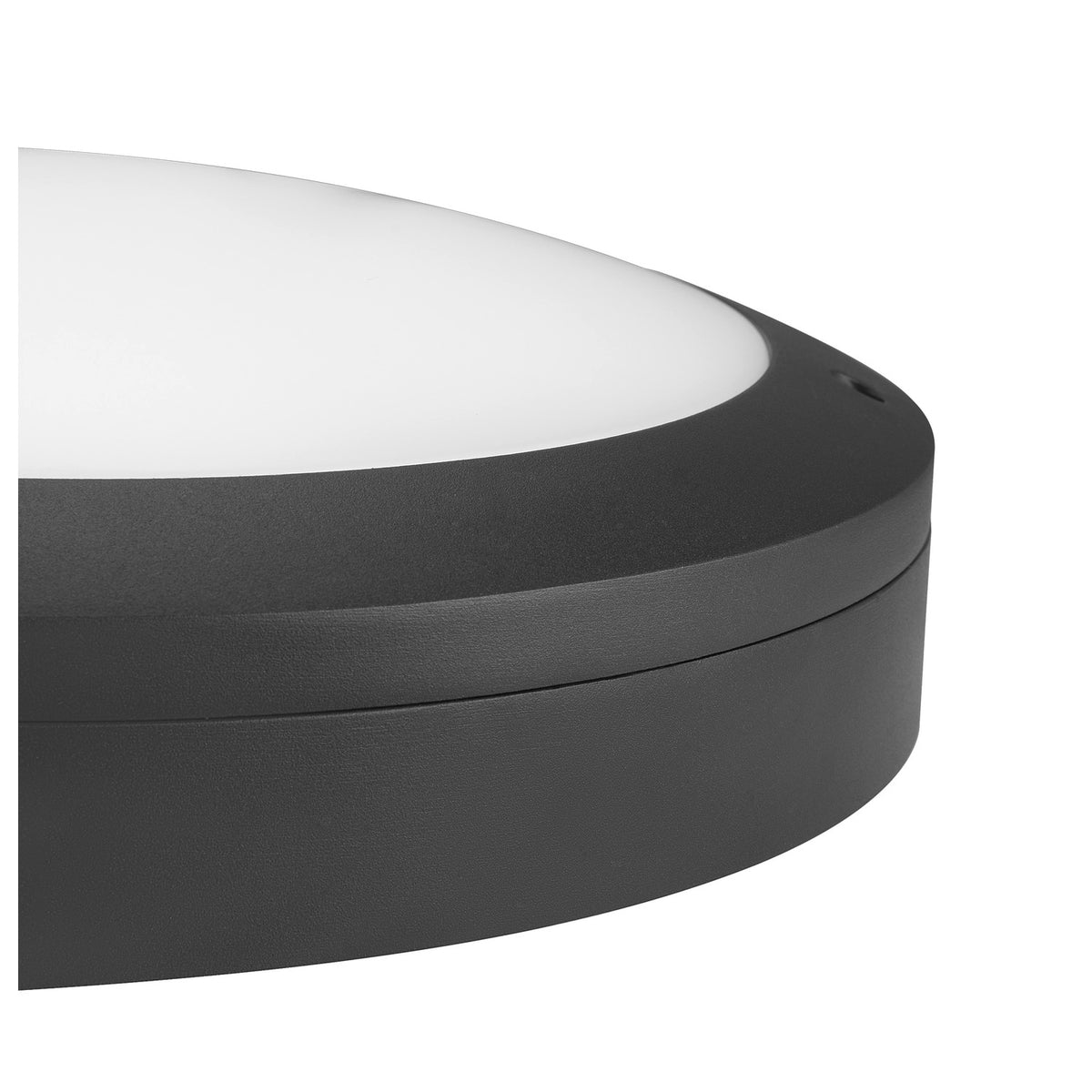 OUTDOOR BULKHEAD V 360, 20 W 830/840 IP65 IK10 Sensor