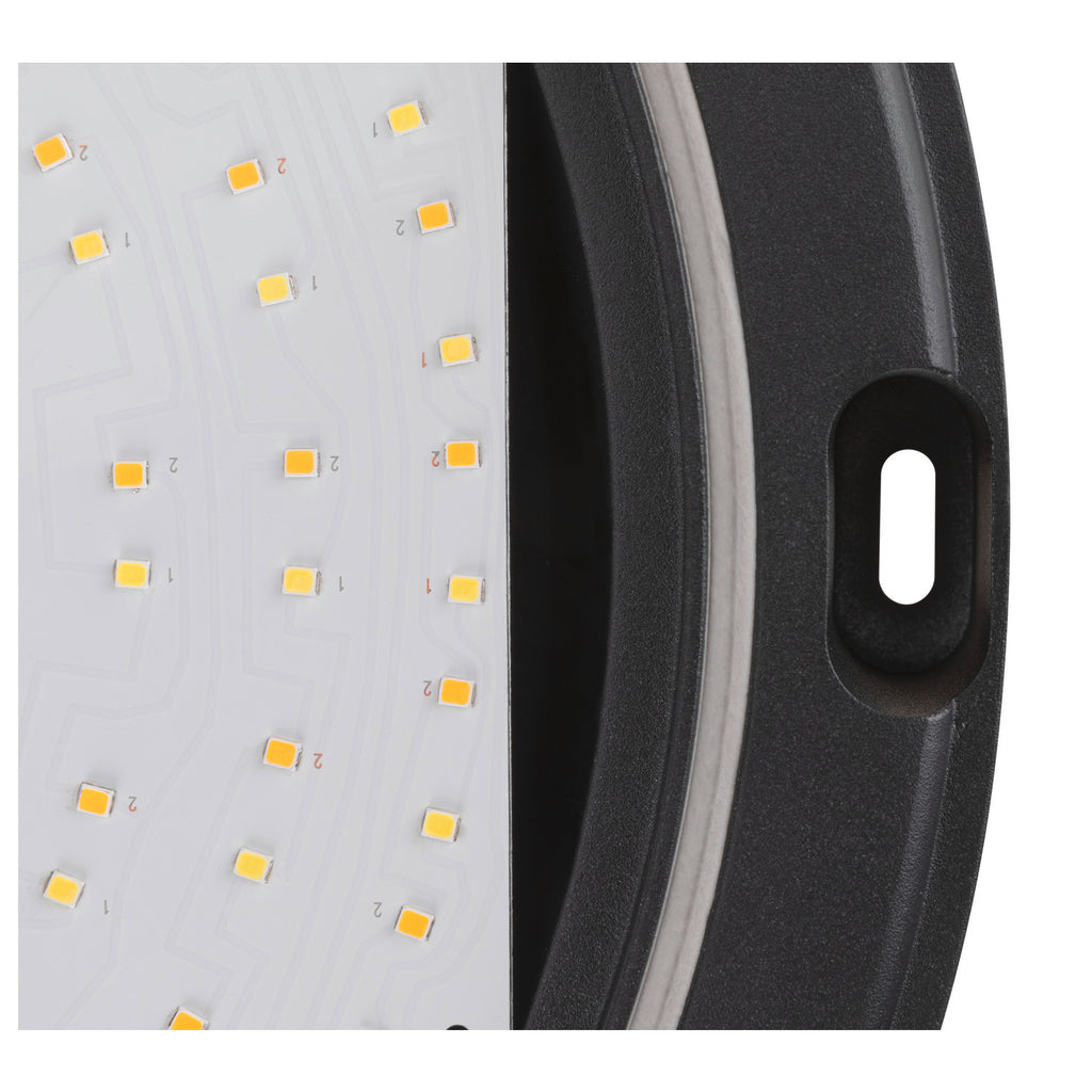OUTDOOR BULKHEAD V 360, 20 W 830/840 IP65 IK10 Sensor