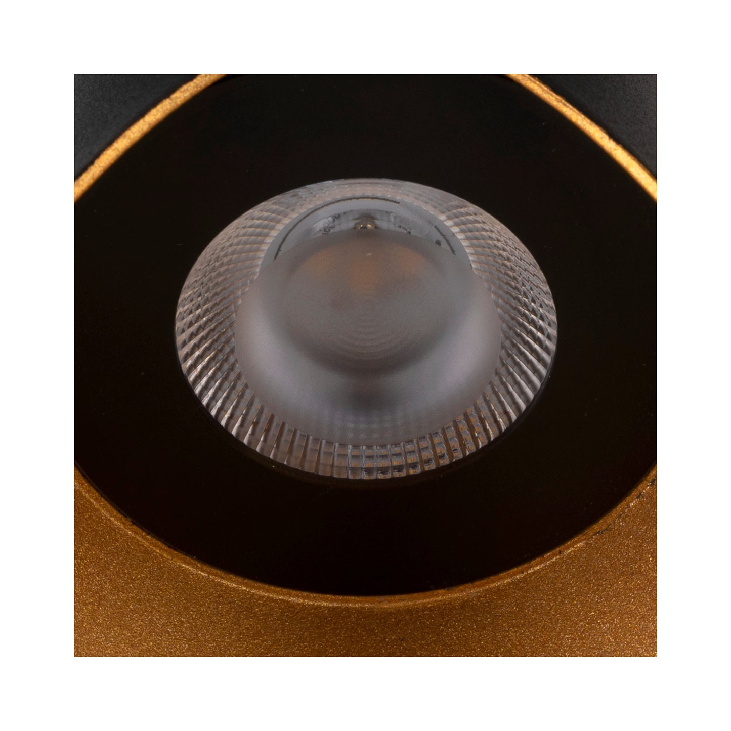 MODELA, Wandleuchte, up/down, 2700 K, PHASE, schwarz/gold