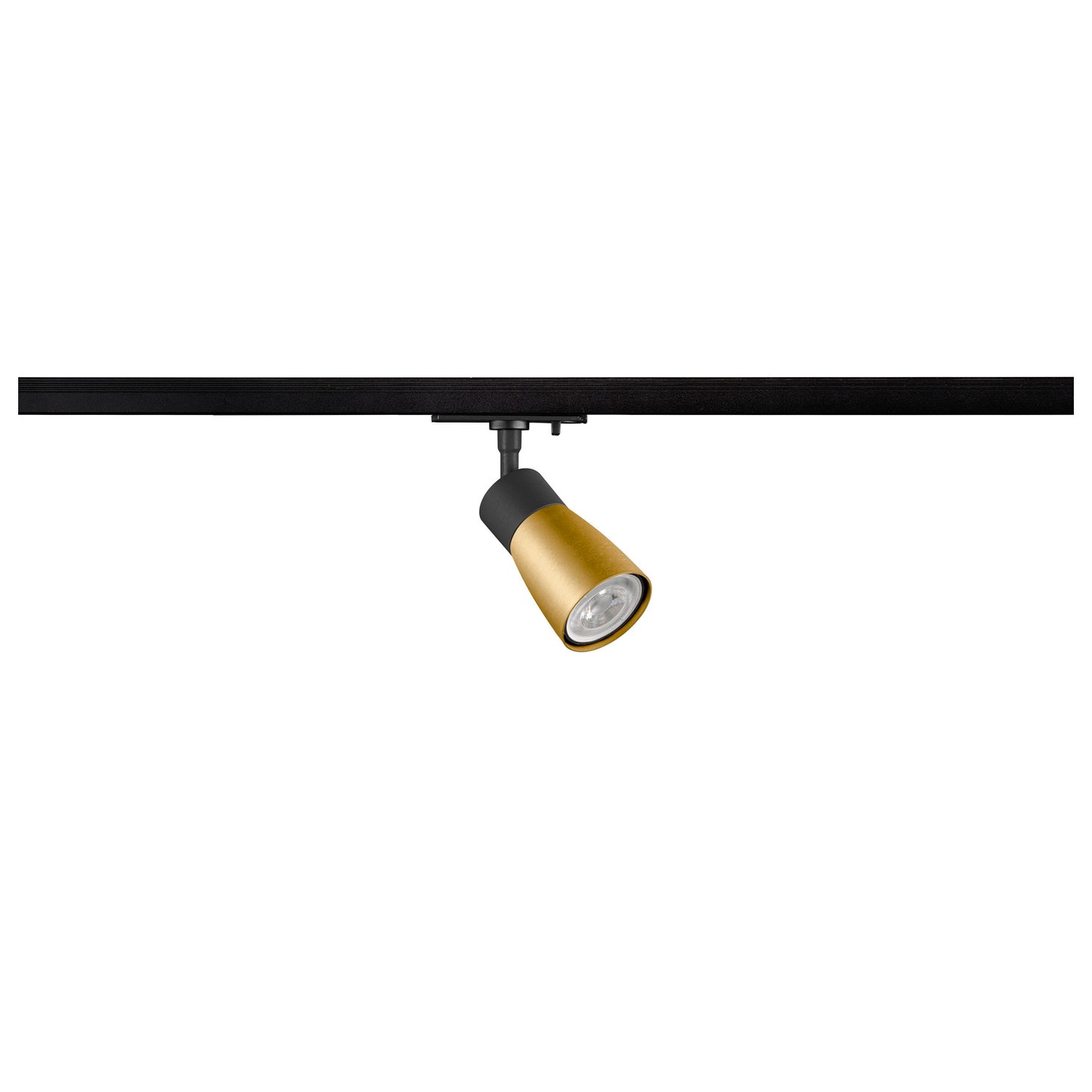 PURI 2.0 Dome, 1~ Spot, GU10, 1x max. 6 W, schwarz / gold