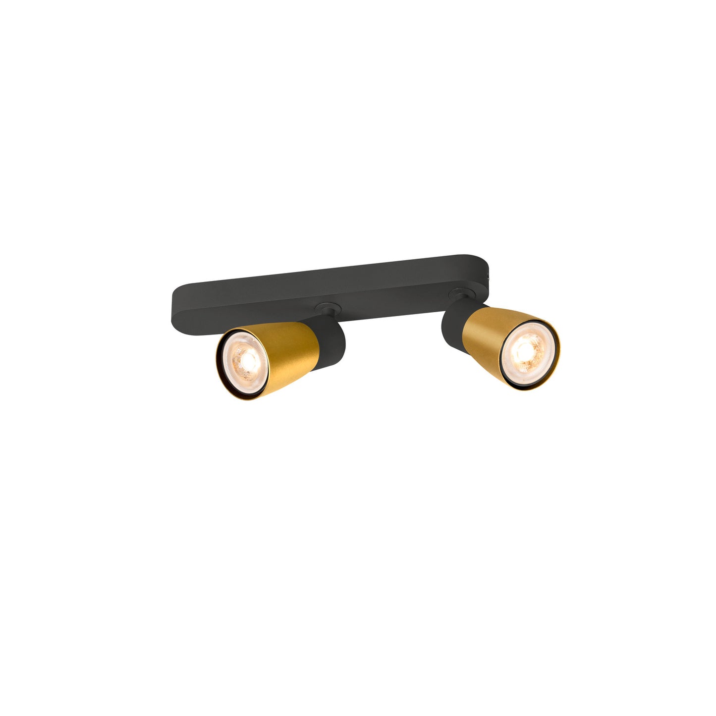 PURI 2.0 Dome, Wand- und Deckenaufbauleuchte, asymmetrisch, 2 x max. 6 W GU10, schwarz / gold