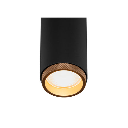 GRIP! M, 3~ Spot, zylindrisch, 2000-3000 K, 15 W, DALI, Dim-to-Warm, Touch, 42°, schwarz / gold