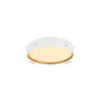DECONA 30, Wand- und Deckenaufbauleuchte, rund, 2700/3000 K, 18 W, PHASE, schwarz / gold