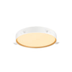 DECONA 42, Wand- und Deckenaufbauleuchte, rund, 2700/3000 K, 23 W, PHASE, weiß / gold