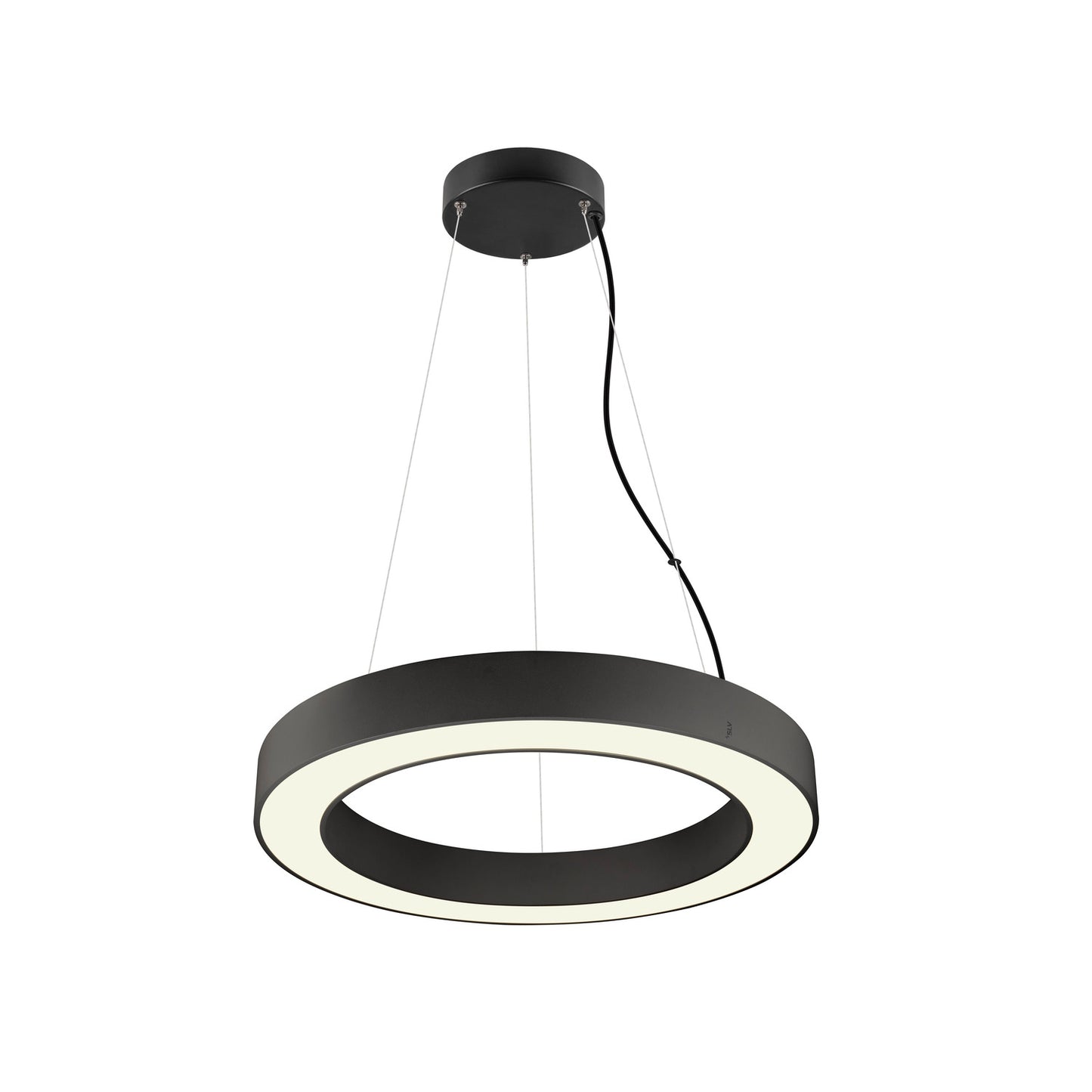 MEDO® RING 60, Pendelleuchte, Pendellänge 300 cm, 3000/4000 K, 110°, PHASE, schwarz