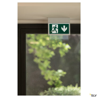 SLV P-LIGHT Emergency Exit sign small ceiling/wall, white