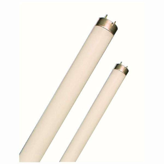 FLUORESZIERENDE LAMPE LUMILUX T5 KURZ - 8W / 840